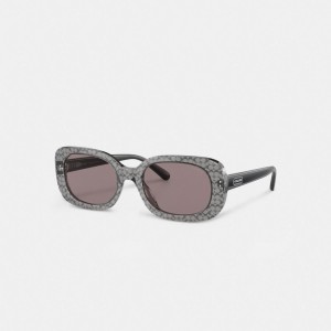 Coach Badge Rounded Square Sunglasses Grise | COH866369