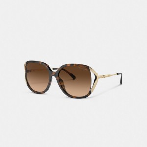 Coach Bandit Oversized Square Sunglasses Doré | COH866384