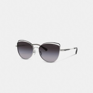 Coach Bandit Wire Oval Sunglasses Grise | COH866327