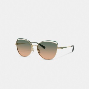 Coach Bandit Wire Oval Sunglasses Vert Jaune | COH866349