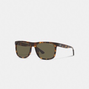 Coach Beveled Signature Flat Top Square Sunglasses Marron | COH866339