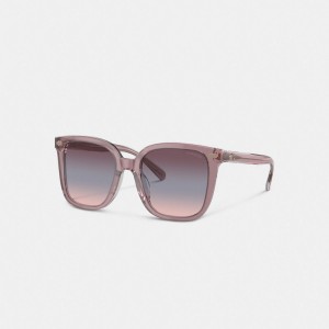 Coach Beveled Signature Oversized Square Sunglasses Rose | COH866399