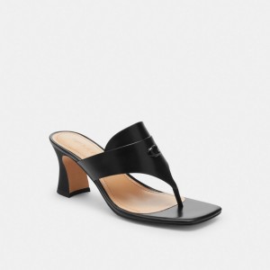 Coach Bree Sandal Noir | COH865866