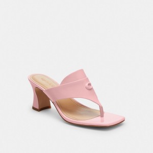 Coach Bree Sandal Rose | COH865883