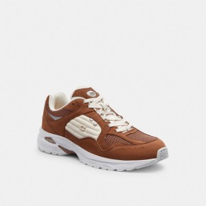 Coach C301 Sneaker Marron | COH866793