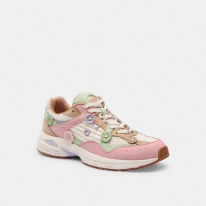 Coach C301 Sneaker With Tea Rose Rose Multicolore | COH865837
