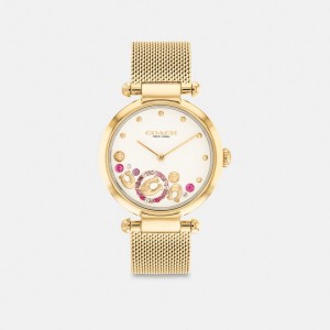 Coach Cary Watch, 34 Mm Doré | COH866246