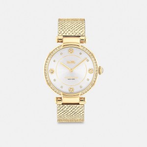 Coach Cary Watch, 34 Mm Doré | COH866248