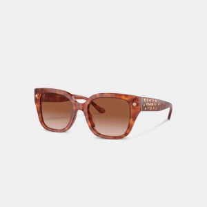 Coach Charms Oversized Square Sunglasses Marron | COH866328