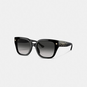 Coach Charms Oversized Square Sunglasses Noir | COH866351