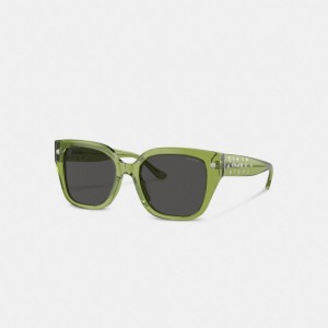 Coach Charms Oversized Square Sunglasses Vert | COH866383