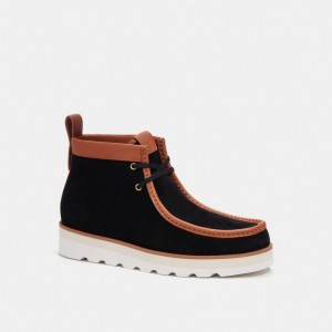 Coach Chukka Boot Noir | COH866855