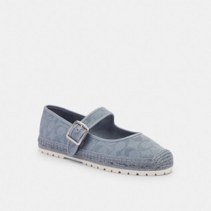 Coach Courtney Espadrille In Signature Canvas Grise Bleu | COH865768