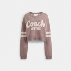 Coach Cropped Sweater Rose | COH865984
