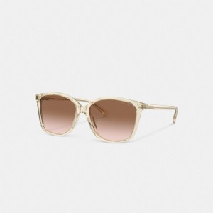 Coach Embedded Wire Square Sunglasses Marron Rose | COH866357
