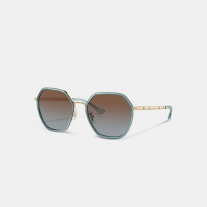Coach Embellished Narrow Metal Hexagon Sunglasses Bleu | COH866323