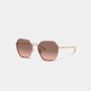 Coach Embellished Narrow Metal Hexagon Sunglasses Rose | COH866326