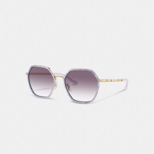 Coach Embellished Narrow Metal Hexagon Sunglasses Violette | COH866347