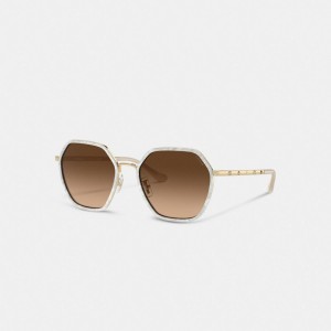 Coach Embellished Narrow Metal Hexagon Sunglasses Marron | COH866379