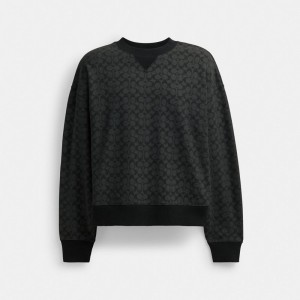 Coach Essential Signature Crewneck Grise | COH865948