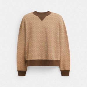 Coach Essential Signature Crewneck Marron | COH866883