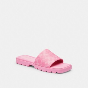 Coach Florence Sandal In Signature Canvas Rose | COH865868
