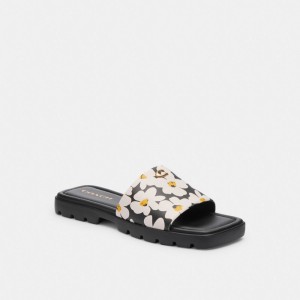 Coach Florence Sandal With Floral Print Multicolore | COH865889