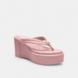 Coach Franki Flip Flop In Signature Jacquard Rose Clair | COH865875