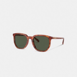 Coach Geometric Square Sunglasses Vert | COH867059