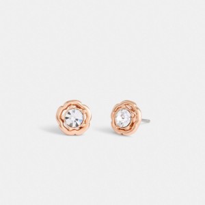 Coach Halo Tea Rose Stud Earrings Rose Doré | COH866133