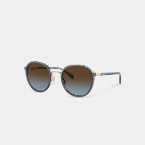Coach Hangtag Geometric Round Sunglasses Marron Bleu Grise | COH866324