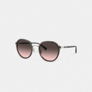 Coach Hangtag Geometric Round Sunglasses Grise | COH866335