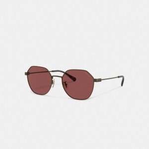 Coach Hinged Geometric Round Sunglasses Doré Bordeaux | COH867066