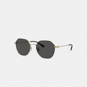 Coach Hinged Geometric Round Sunglasses Doré Noir | COH867080