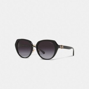 Coach Horse And Carriage Oversized Round Sunglasses Noir | COH866344