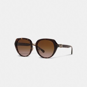 Coach Horse And Carriage Oversized Round Sunglasses Marron | COH866376