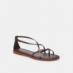 Coach Jenni Sandal Chocolat | COH865861
