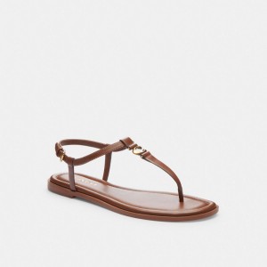 Coach Jessica Sandal Marron | COH865902