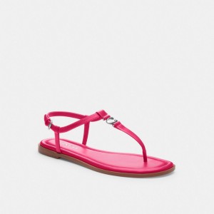 Coach Jessica Sandal Rose | COH865849