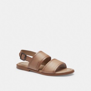 Coach Julian Two Strap Sandal Grise Marron | COH866846