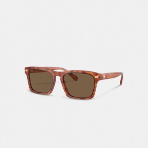 Coach Keyhole Square Sunglasses Marron | COH867072