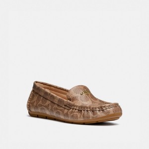 Coach Marley Driver Marron | COH865782