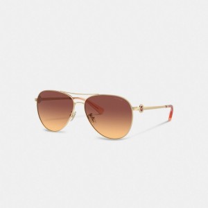 Coach Metal Aviator Sunglasses Marron Foncé | COH866377