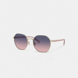 Coach Metal Hexagon Sunglasses Violette Rose | COH866356