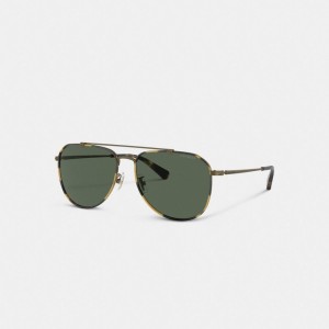 Coach Metal Windsor Pilot Sunglasses Doré | COH867078
