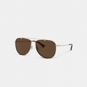 Coach Metal Windsor Pilot Sunglasses Marron Foncé | COH867057