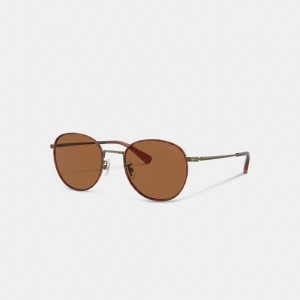 Coach Metal Windsor Round Sunglasses Marron | COH867073