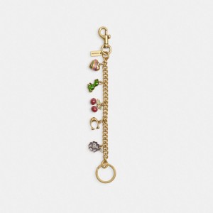 Coach Motif Chain Bag Charm Multicolore | COH866473
