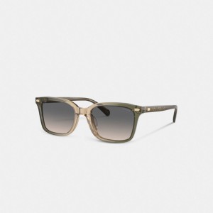 Coach Narrow Square Sunglasses Vert Marron | COH867083