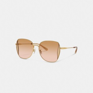 Coach Oversized Butterfly Sunglasses Corail Rose Multicolore | COH866371